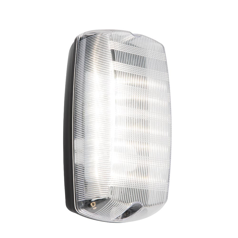 Avit 10W IP65 10W cool white Saxby