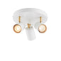 Endon Gull 3lt round spotlight 59932