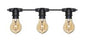 Forum Outdoor Festoon String Light Hardy 20 Light