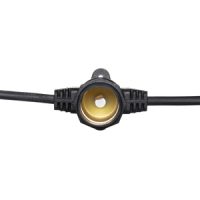 Forum Outdoor Festoon String Light Hardy 20 Light