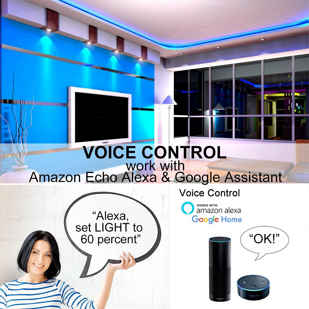 5 Meters LED Strip Kit with WiFi Controller 6A Adapter, CCT Changing & Dimmable, Works with Amazon Alexa and Google Home, Compatible with iOS & Android, IP65