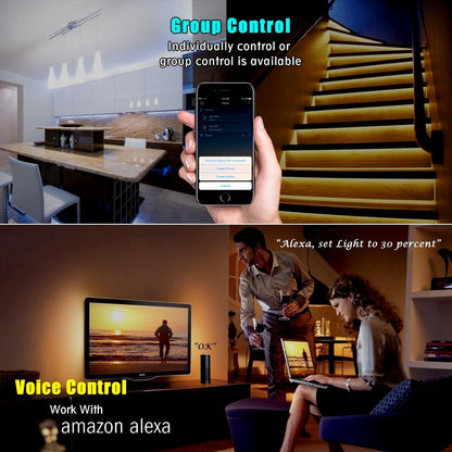 5 Meters LED Strip Kit with WiFi Controller 6A Adapter, CCT Changing & Dimmable, Works with Amazon Alexa and Google Home, Compatible with iOS & Android, IP65