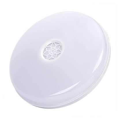 24W Wi-Fi Ceiling Lights RGB+W+WW, Dimmable with Bluetooth Speaker, Amazon Alexa and Google Home Compatible