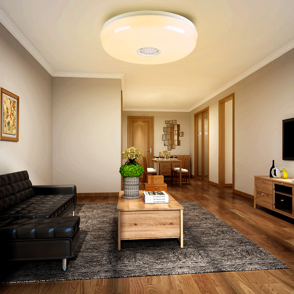 24W Wi-Fi Ceiling Lights RGB+W+WW, Dimmable with Bluetooth Speaker, Amazon Alexa and Google Home Compatible