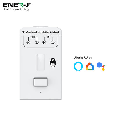Ener-J 100W Smart Dimmable Receiver, RF + WiFi PRO Series, App & Voice Control