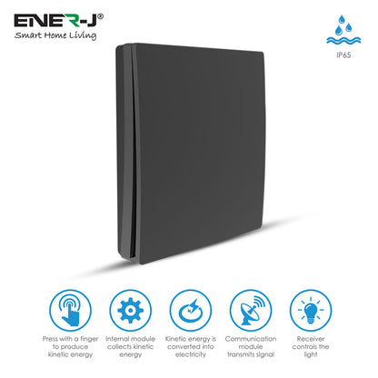 ENER-J 1 Gang Wireless Kinetic Switch, Black + 500W RF Receiver